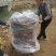 【苹果苗】秦脆苹果苗阳历9月份成熟的苹果品种包技术指导