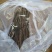 【红蜜脆苹果苗】新品种苹果苗红蜜脆苹果苗哪里有热卖苹果苗