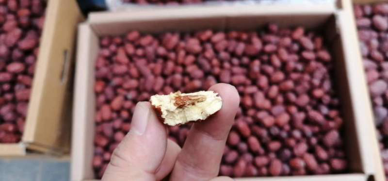 孕妇阅读营养书籍