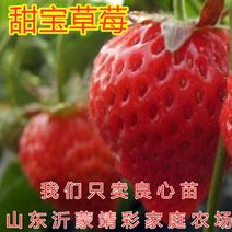 甜宝草莓苗南北方种植盆栽地栽好养易活新品种草莓苗