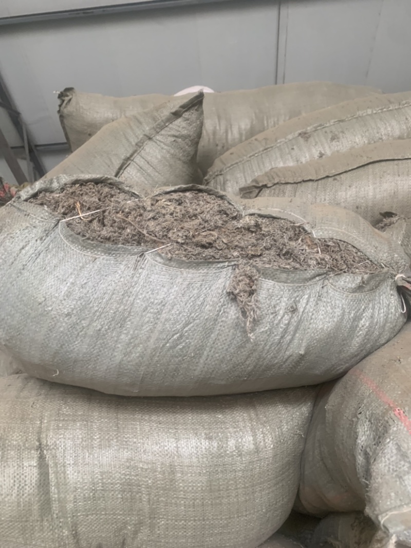 有大量现货茵陈，蒲公英，丹参
