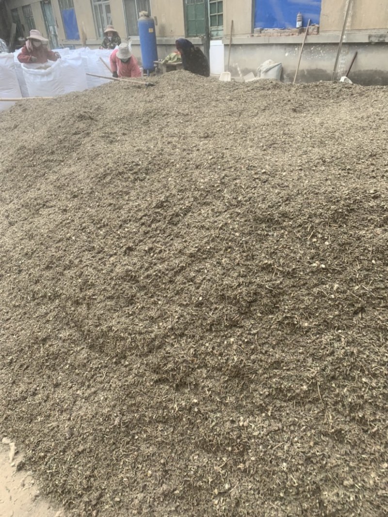 有大量现货茵陈，蒲公英，丹参