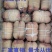 捆蹄冷冻半成品线捆肘五香线捆蹄卤菜猪肉扎蹄酱卤猪