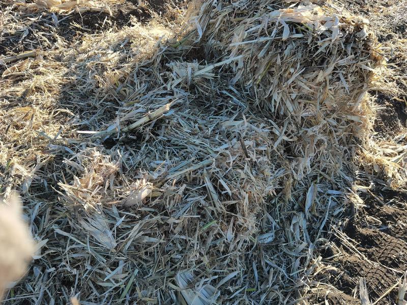 玉米秸秆粉碎草包，适合饲养牛羊