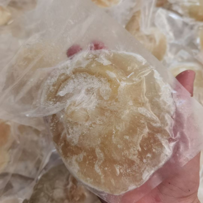 鱼翅金勾翅鲜冻酒店酒席火锅食材