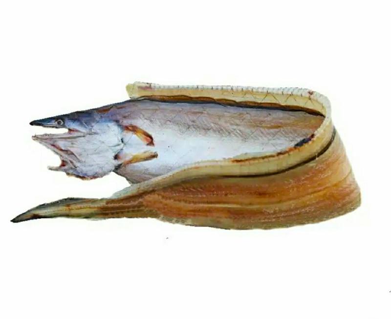 鳗鱼干深海鳗鱼干海鲜干货营养美味爽口（包邮）