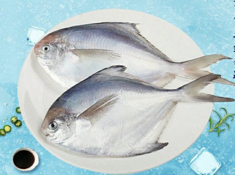 银鲳鱼干海鲜干货原汁原味营养美味爽口（干货包邮）