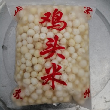 水中人参，鸡头米，又名芡实