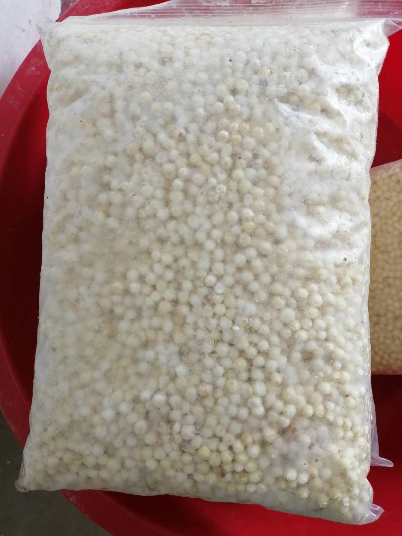 水中人参，鸡头米，又名芡实