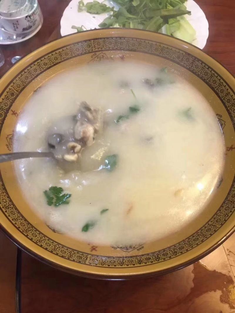 河豚，东方红鳍豚？欢迎全国各地老板
