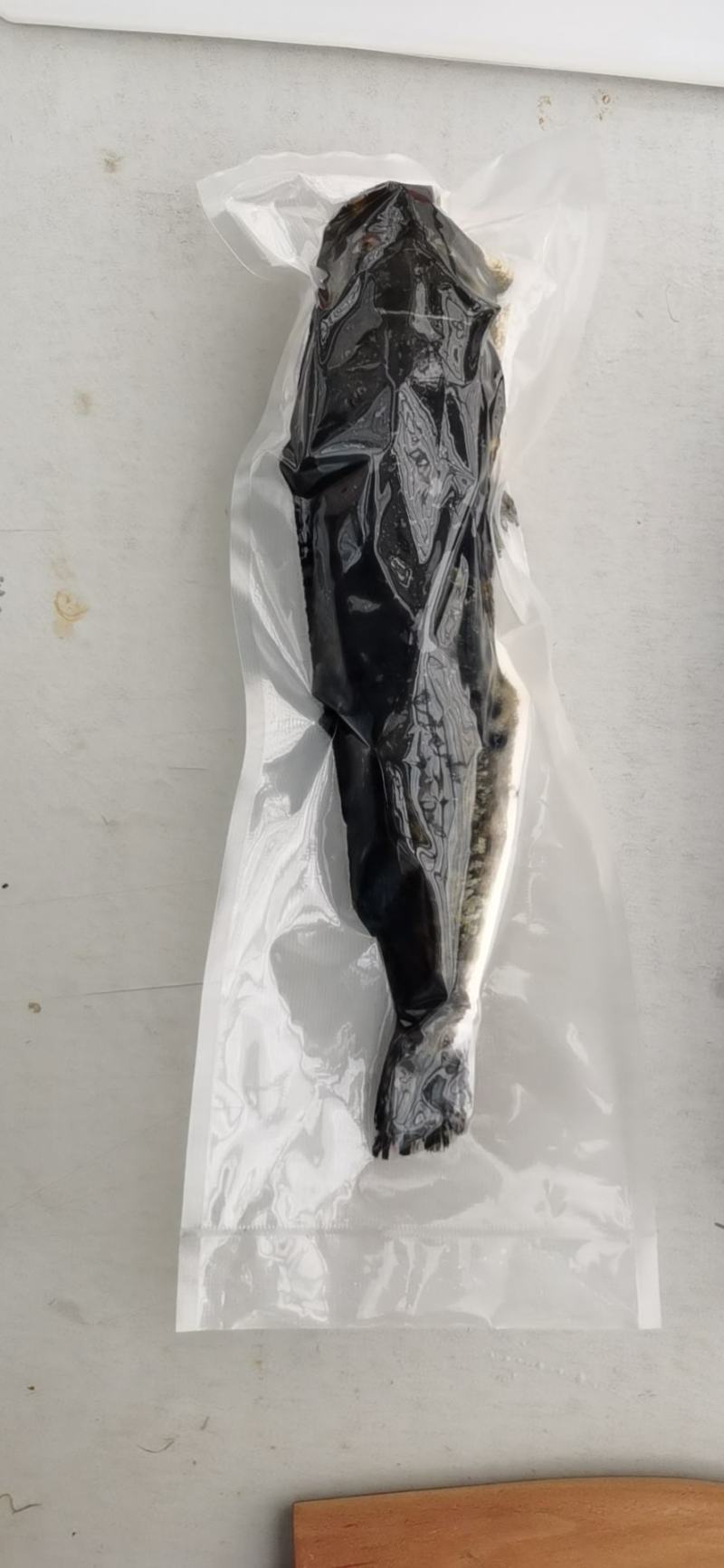河豚，东方红鳍豚？欢迎全国各地老板