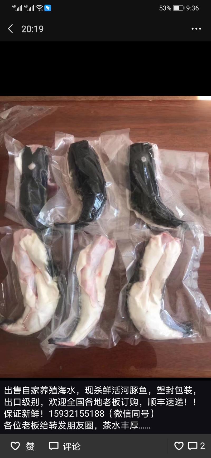 河豚，东方红鳍豚？欢迎全国各地老板