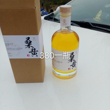 桑黄饮品桑黄茶桑黄酒桑黄菌包菌段西峡县科达菌种厂