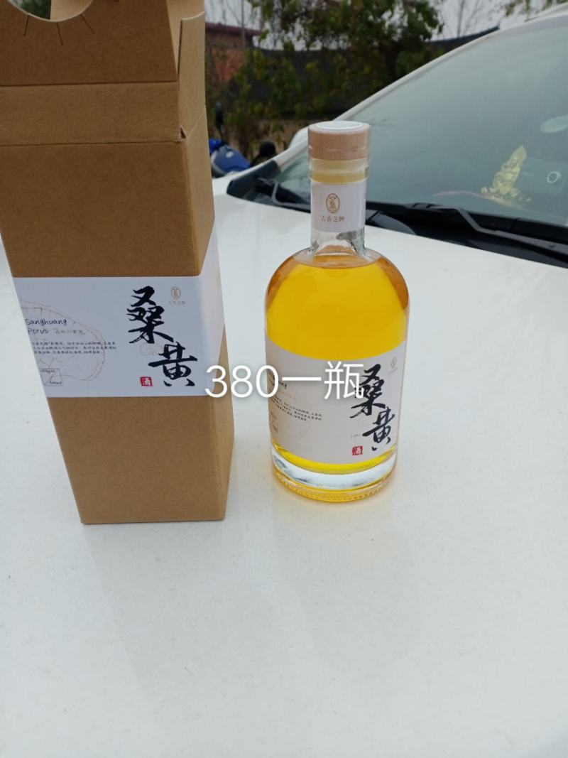 桑黄饮品桑黄茶桑黄酒桑黄菌包菌段西峡县科达菌种厂