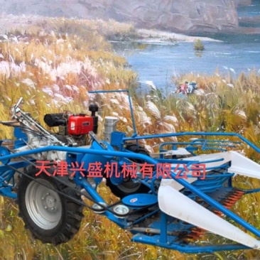 厂家直销芦苇小麦浦草玉米秸秆全自动收割打捆一体机