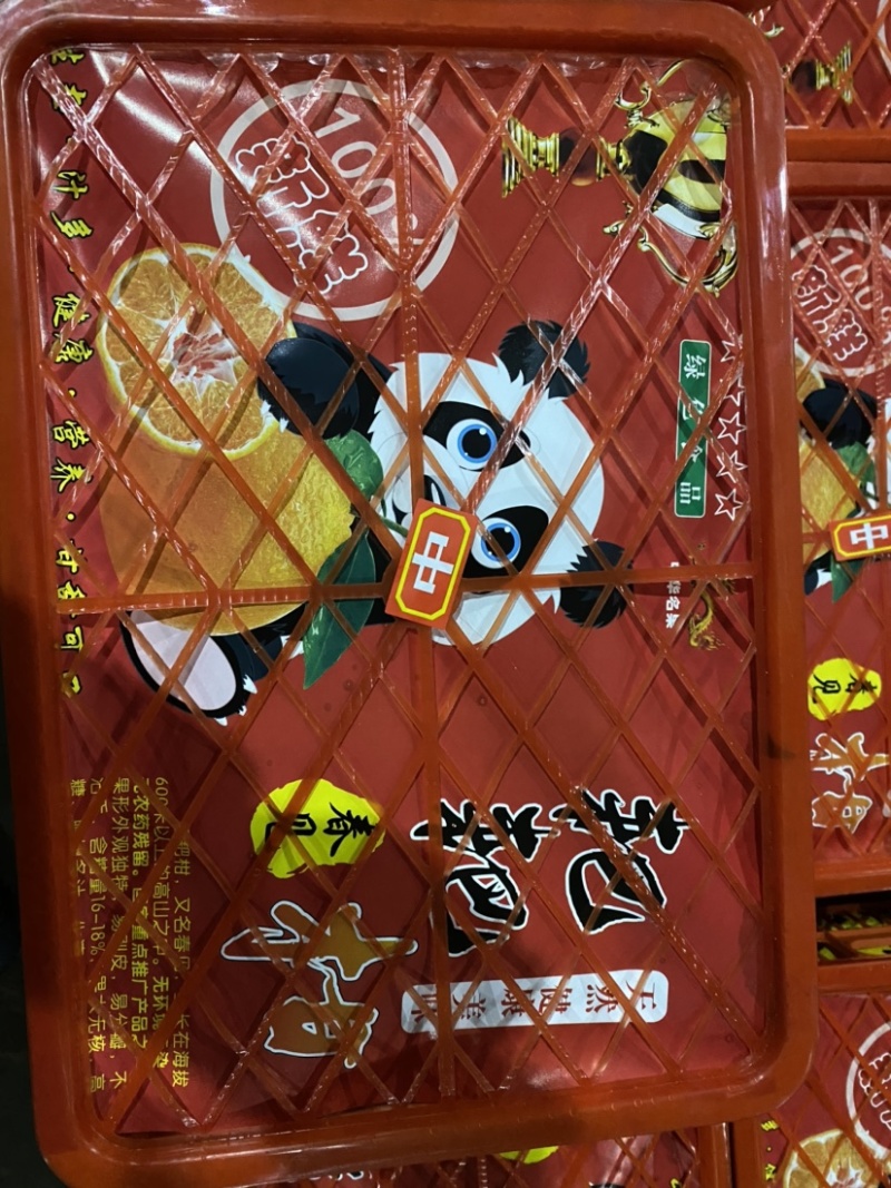 春见耙耙柑大量上市，高质量高品质服务，诚邀各位老板前来