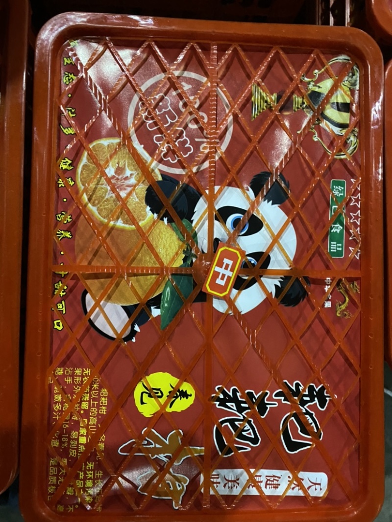 春见耙耙柑大量上市，高质量高品质服务，诚邀各位老板前来