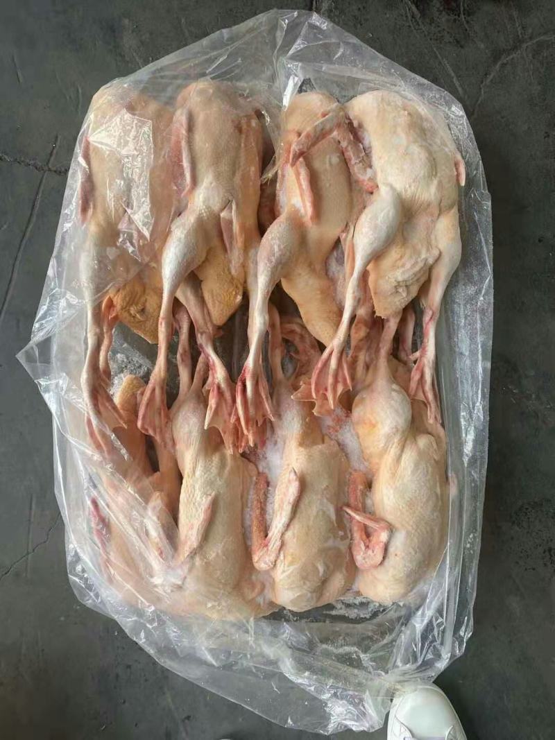 樱桃谷瘦肉型小全鸭，带头，带翅，带掌，不带切舌。