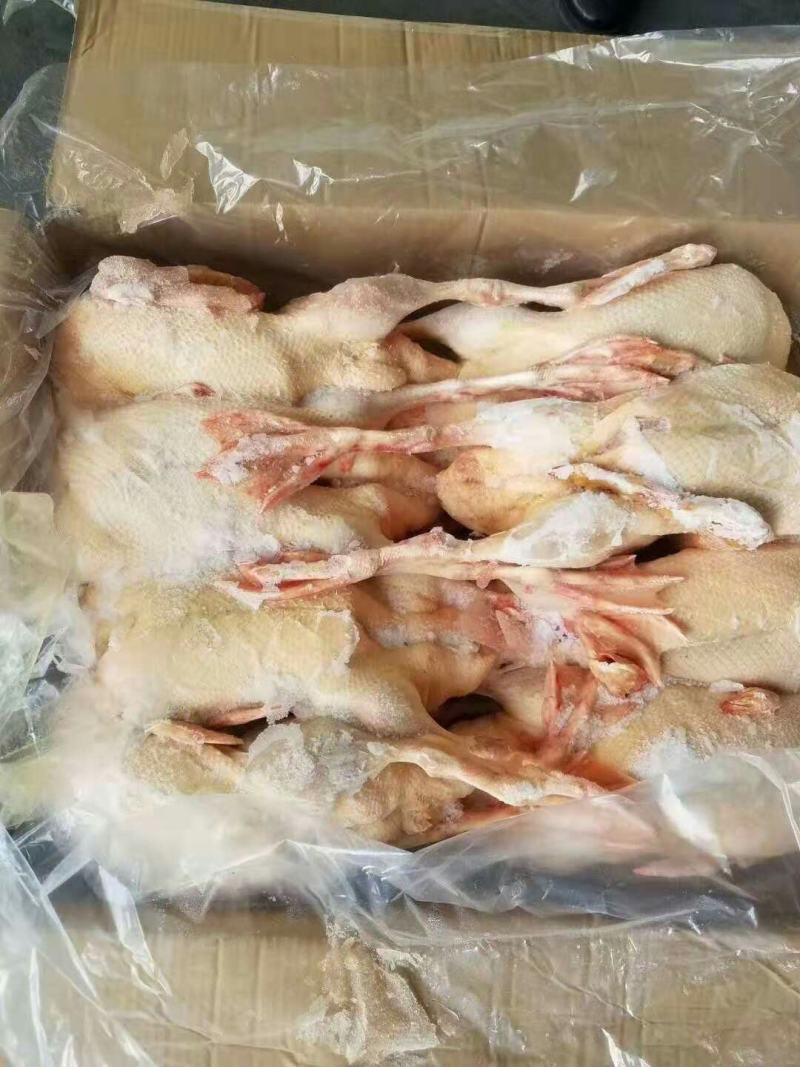 樱桃谷瘦肉型小全鸭，带头，带翅，带掌，不带切舌。