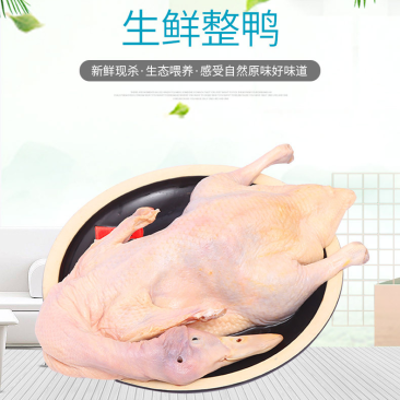 樱桃谷瘦肉型小全鸭，带头，带翅，带掌，不带切舌。
