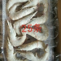 十板虾规格齐全，质量好价格美丽，欢迎订购需要请联系