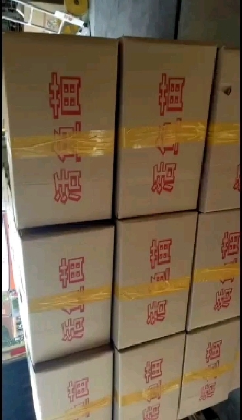 【热销】广东生鱼苗黑鱼苗斑鱼苗量大从优（支持水花批发）