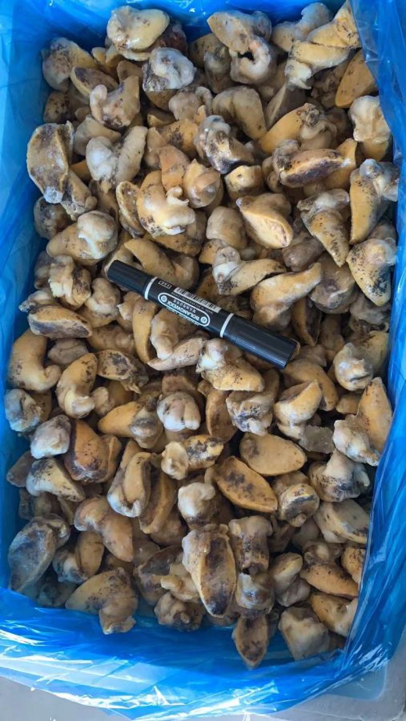 鲍螺肉，鲍鱼螺肉，鲍鱼螺，老婆脚，