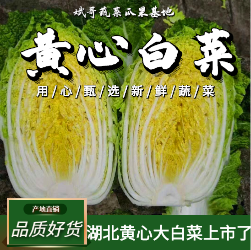 精品黄心大白菜，四至六斤，量大从优，诚信经营