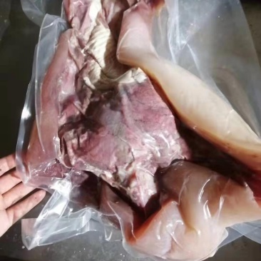 大公牛牛头肉32323