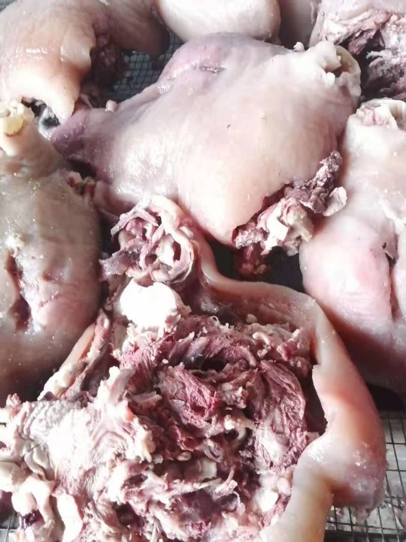 大公牛牛头肉32323