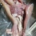 大公牛牛头肉32323