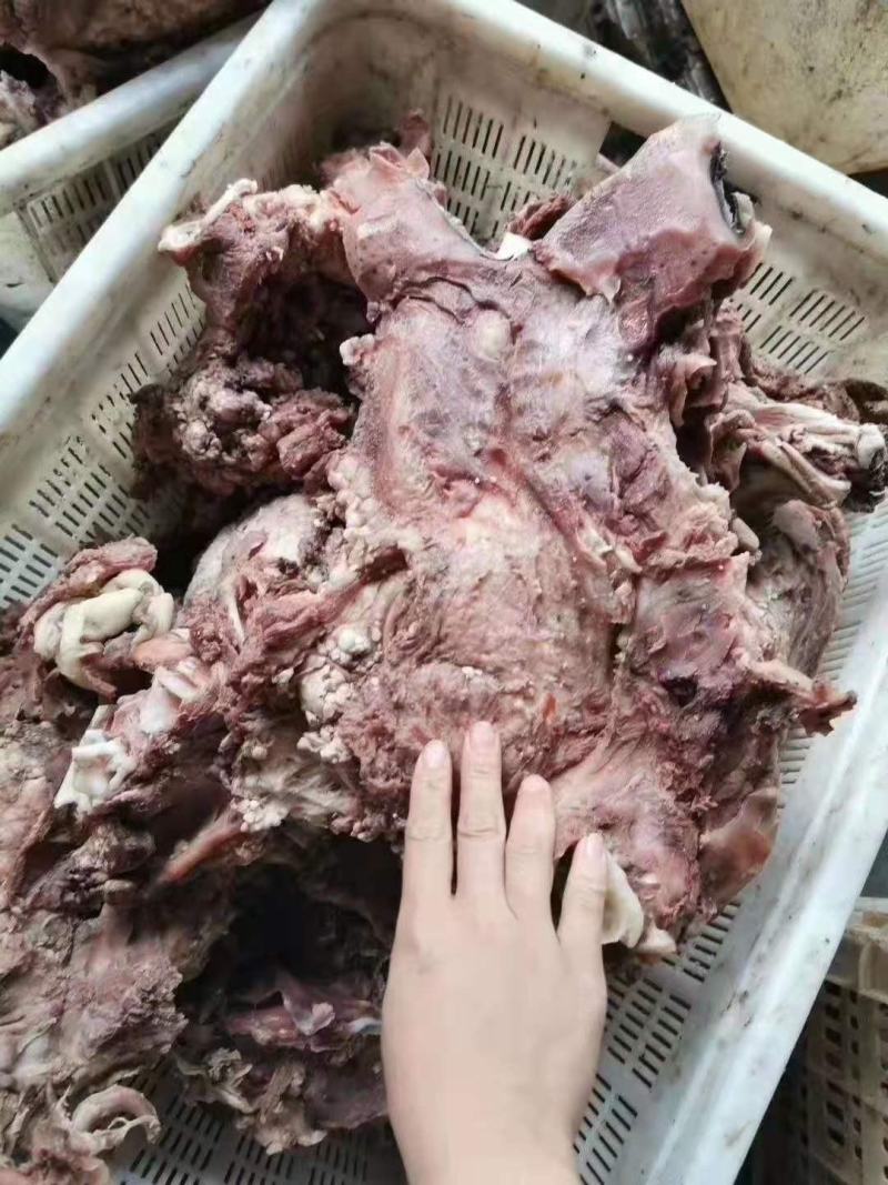 大公牛牛头肉32323