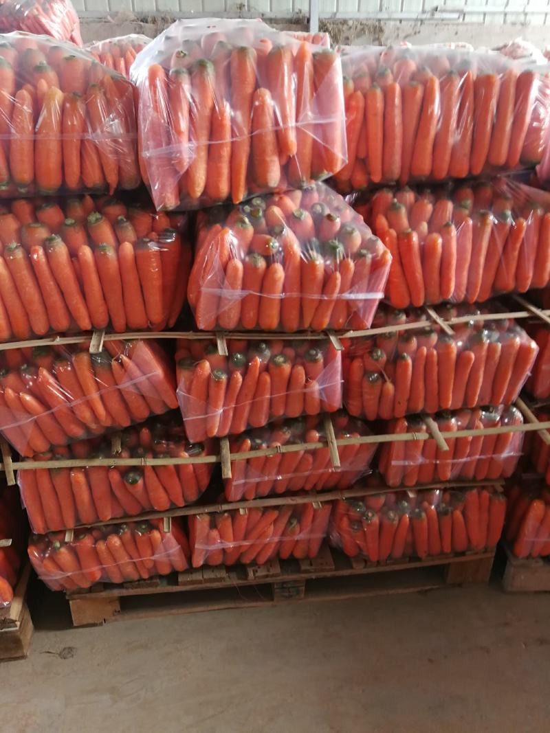 胡萝卜，水洗胡萝卜，三红胡萝卜一手货源