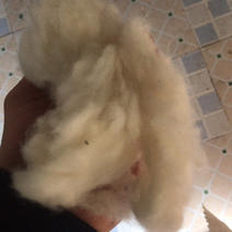 皮绒羊绒绵羊绒可直接加工成品