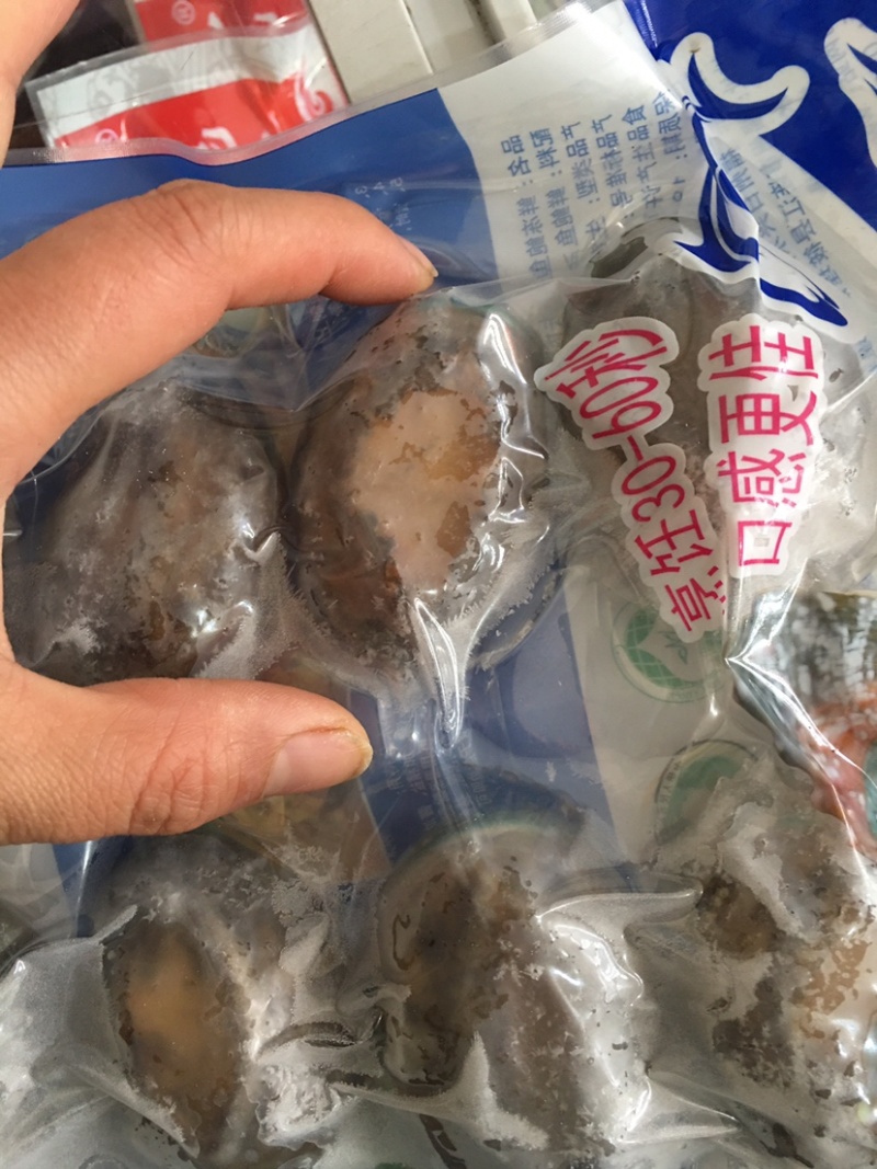 鲜活急冻12头鲍鱼单体单冻10个一包全国代发货