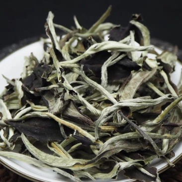 云南大叶种白茶景谷月光白散茶蜜香秧塔大白茶古树白茶寿眉老