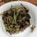 云南大叶种白茶景谷月光白散茶蜜香秧塔大白茶古树白茶寿眉老