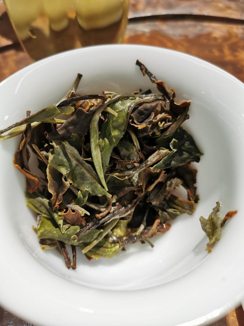 云南大叶种白茶景谷月光白散茶蜜香秧塔大白茶古树白茶寿眉老