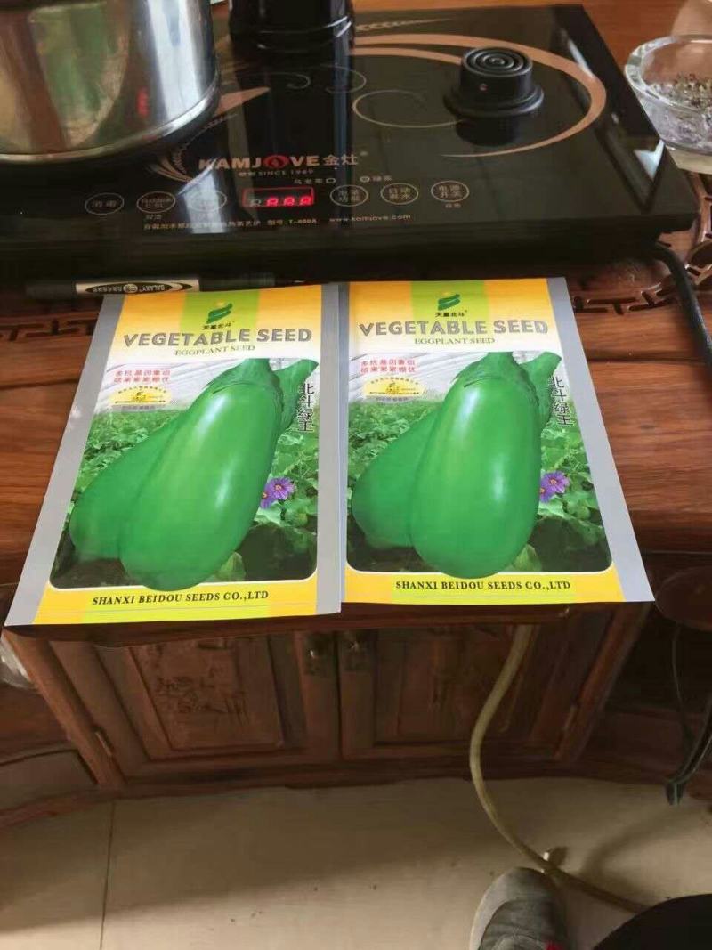 嫁接灯泡茄苗绿长茄苗高产抗病河南东北地区受欢迎