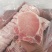 【顺丰包邮】新鲜冷冻猪大排片猪排猪里脊肉带骨大排2