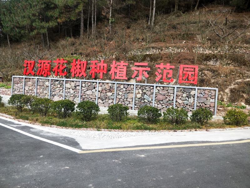 正宗汉源贡椒苗营养袋苗红花椒苗保证品种