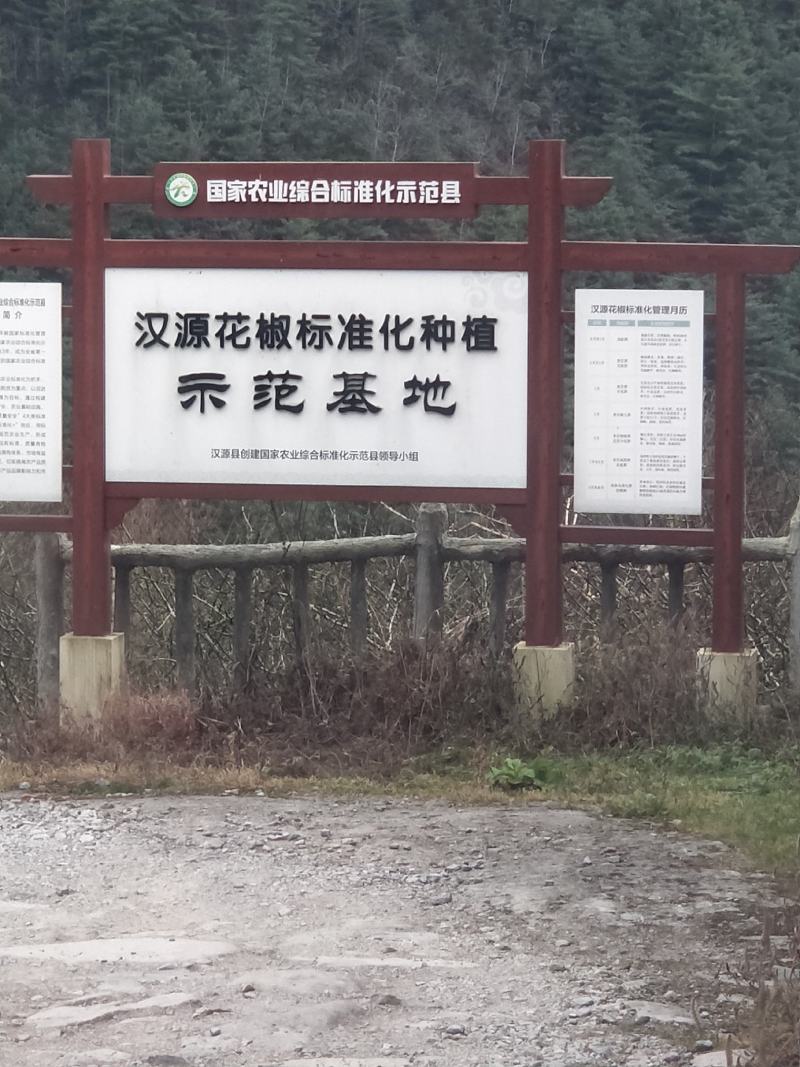 正宗汉源贡椒苗营养袋苗红花椒苗保证品种