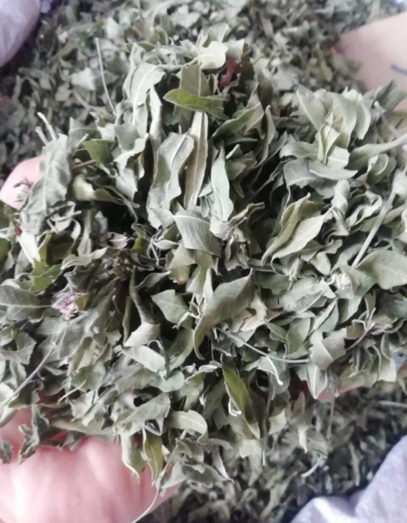 振兴药材批发供应罗布麻叶产地直销罗布麻