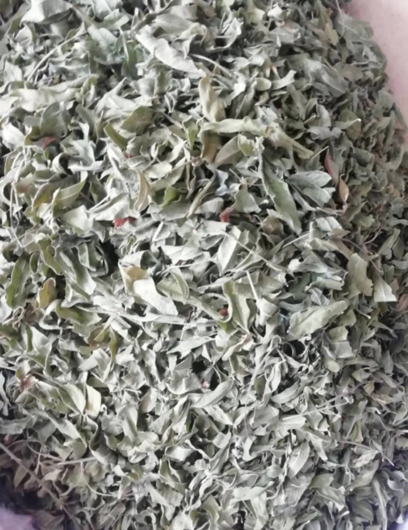 振兴药材批发供应罗布麻叶产地直销罗布麻