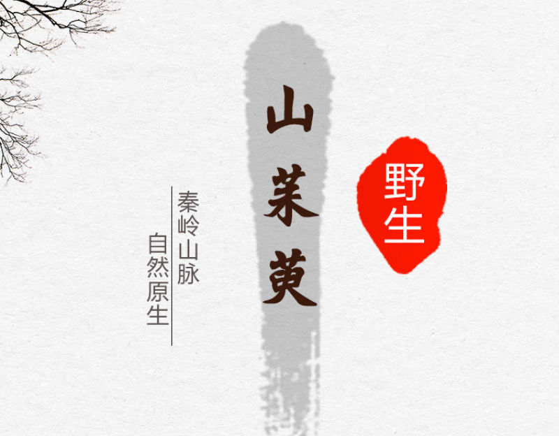 山茱萸山萸肉枣皮萸肉大货供应批发零售野生大货供应免费打粉