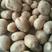 陕西省榆林市纯沙沙地的V7土豆表皮干净光滑无痕无疤货量大