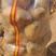 陕西省榆林市纯沙沙地的V7土豆表皮干净光滑无痕无疤货量大