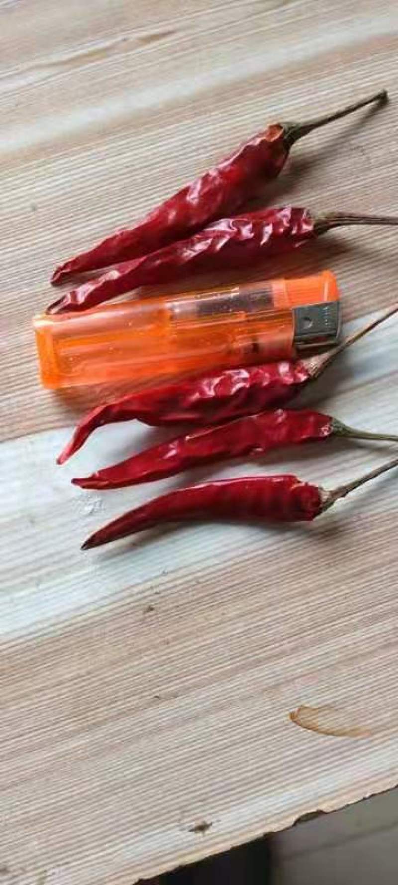 小米辣椒自产货量不足