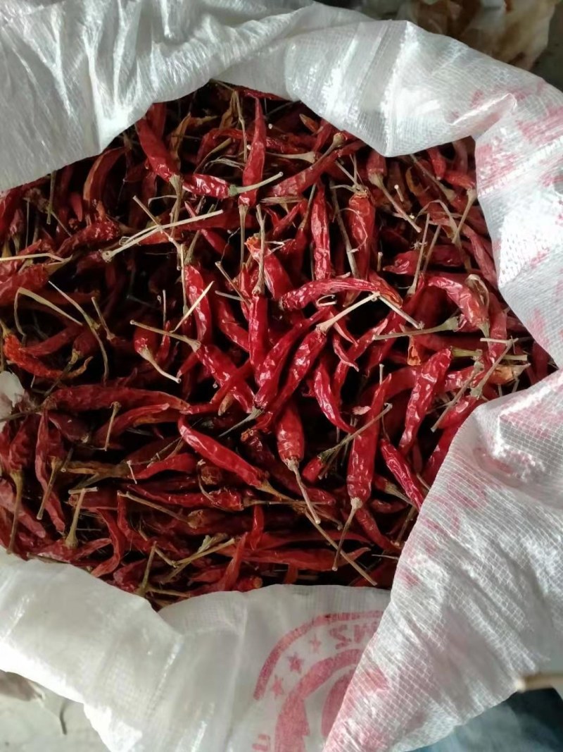 小米辣椒自产货量不足