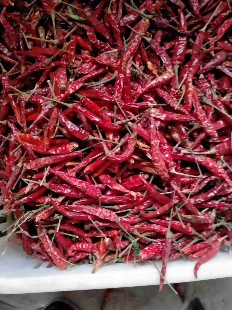 小米辣椒自产货量不足